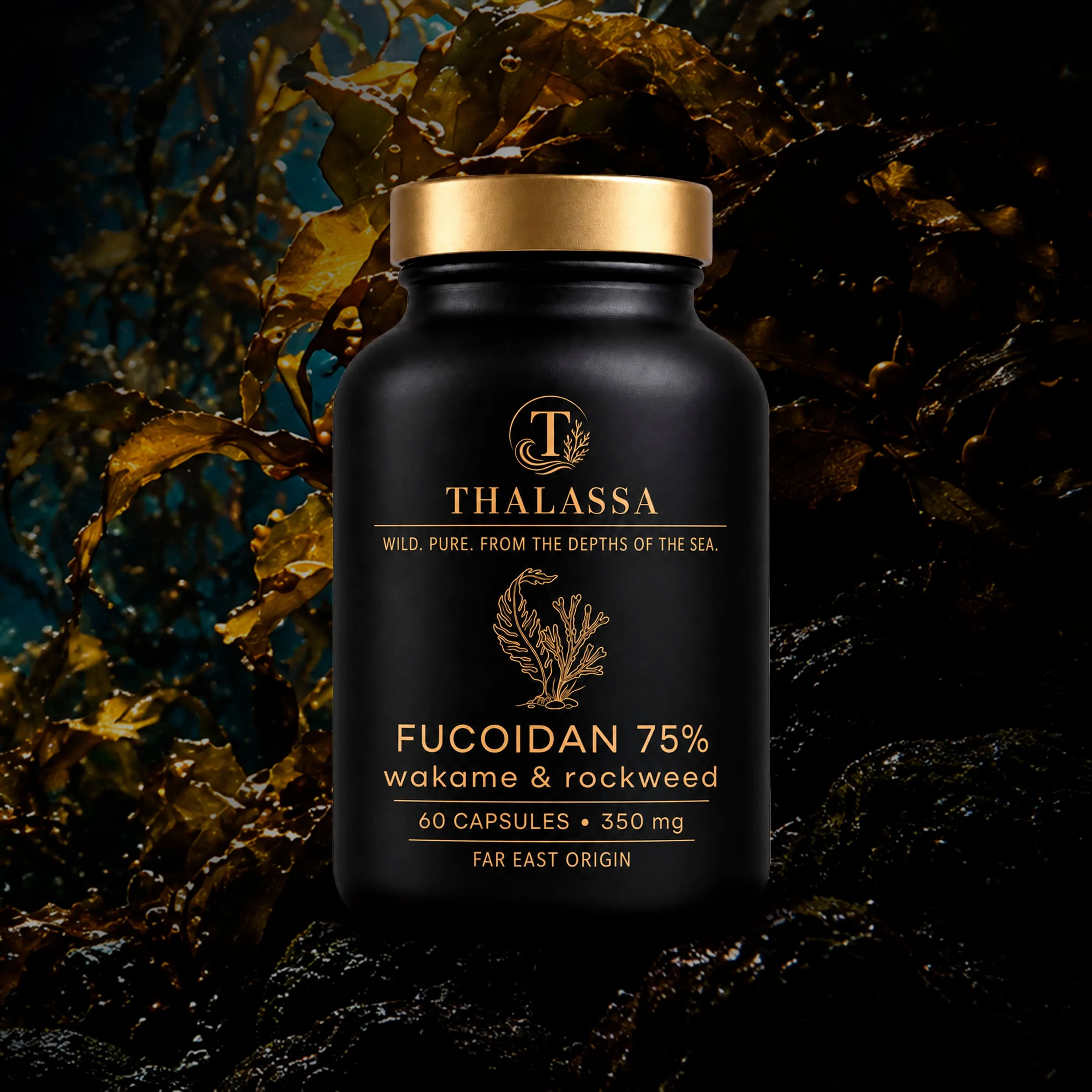 Fucoidan 75%