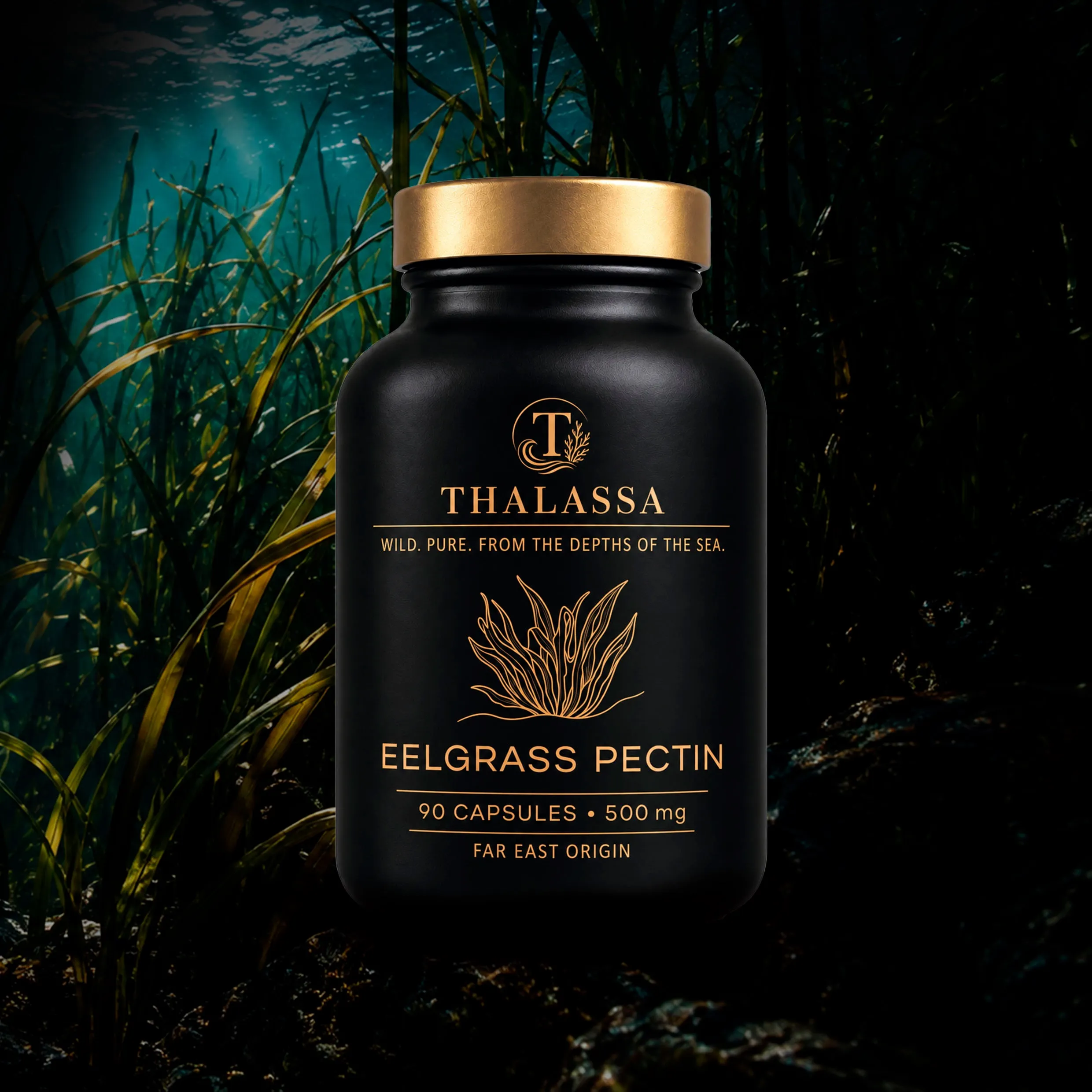 Eelgrass Pectin